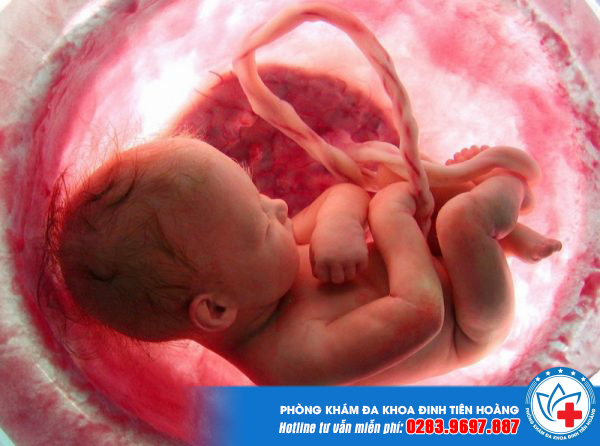 Âm nhạc giúp thai nhi phát triển não bộ