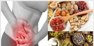 Cách điều trị u xơ bằng thuốc nam có khỏi không?