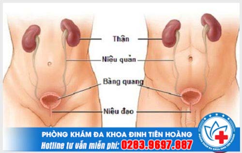 Bị ngứa ở lỗ tiểu ở nam và nữ giới là bệnh gì? Có sao không
