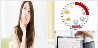 Cách tính ngày rụng trứng để sinh con trai chuẩn trên từng cm