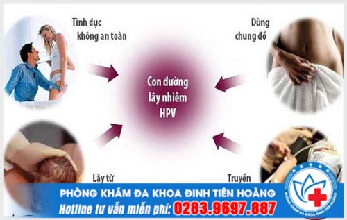 Hình ảnTổng hợp nguyên nhân nhiễm virus HPV mà bạn không ngờh virus HPV gây u nhú ở người.