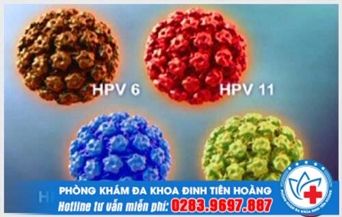 Tổng hợp nguyên nhân nhiễm virus HPV mà bạn không ngờ