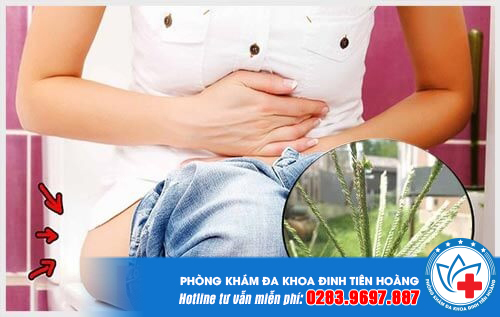 Hướng dẫn cách chữa bệnh trĩ bằng cỏ mần trầu đạt hiệu quả cao