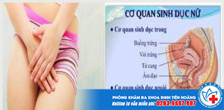 cau-tao-am-vat-1