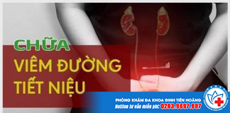 chua-viem-duong-tiet-nieu