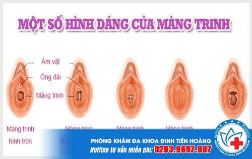 mang-trinh-co-ngan-duoc-tinh-trung