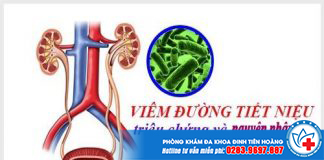 viem-duong-tiet-nieu