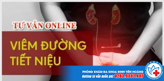 tu-van-viem-duong-tiet-nieu